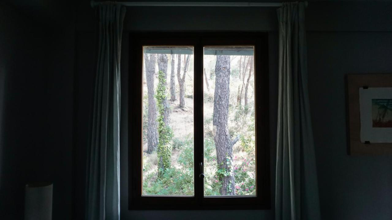 Retiro Chic Frente Al Lago - A 1 Hora De Madrid, Pantano De San Juan Сан-Мартін-де-Вальдейґлесьяс Екстер'єр фото