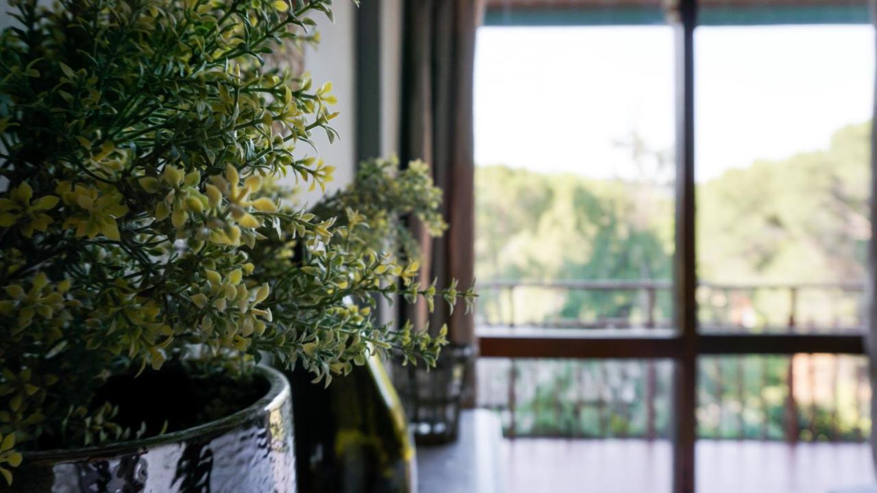 Retiro Chic Frente Al Lago - A 1 Hora De Madrid, Pantano De San Juan Сан-Мартін-де-Вальдейґлесьяс Екстер'єр фото