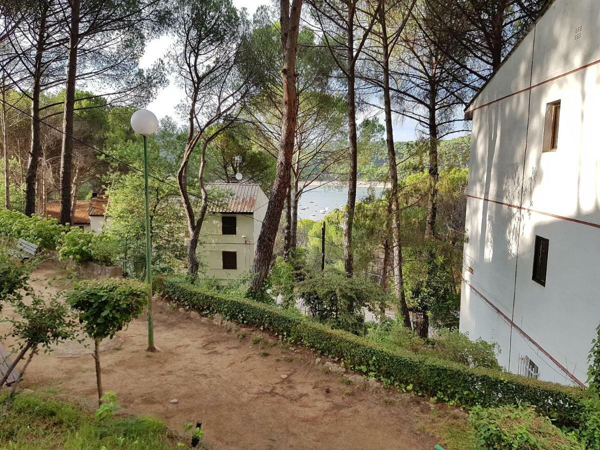 Retiro Chic Frente Al Lago - A 1 Hora De Madrid, Pantano De San Juan Сан-Мартін-де-Вальдейґлесьяс Екстер'єр фото